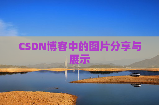 CSDN博客中的图片分享与展示